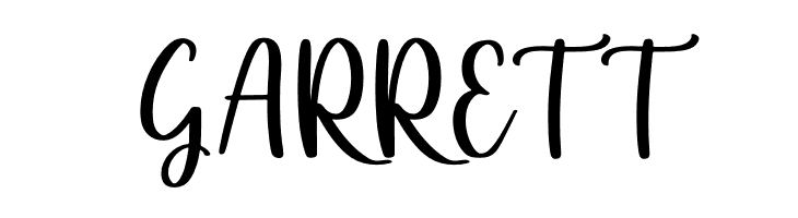 feather  Free Fonts Download