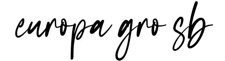 Hello France  Free Fonts Download