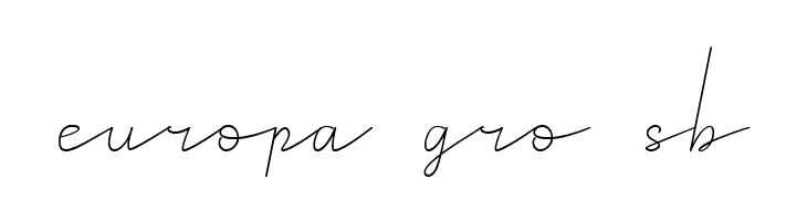 Royal Haster Demo Monoline  Free Fonts Download