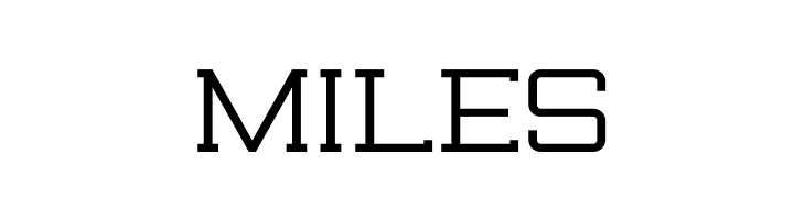 Rogueland Slab Bold  Free Fonts Download