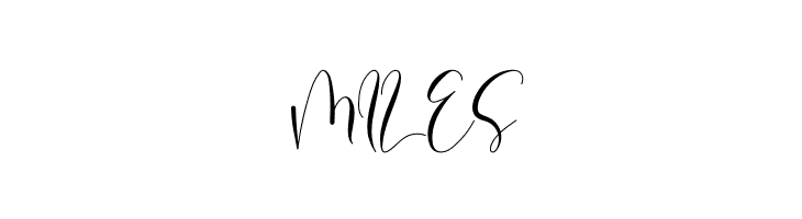 Baisley  Free Fonts Download