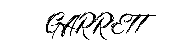 Butterflies Brush  Free Fonts Download