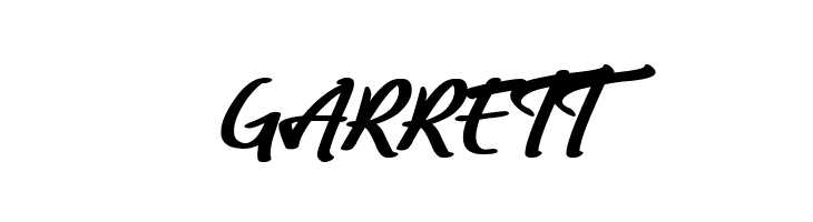 Lady Writer  Free Fonts Download