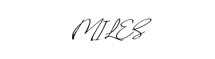 Malvinas Signature  Free Fonts Download