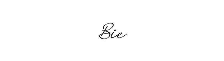 Big Lost  Free Fonts Download