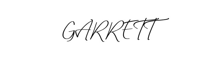 Lady Writer Skinny  Free Fonts Download