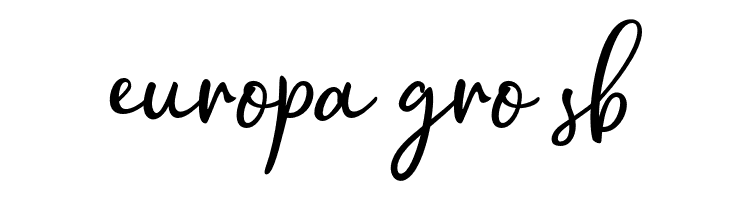 HollymoonScript-Regular  Free Fonts Download