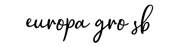 Hollymoon Script  Regular  Free Fonts Download