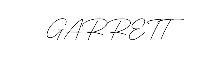 Business Signature D  Free Fonts Download