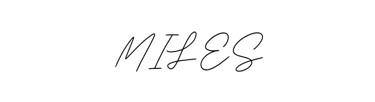 Business Signature D  Free Fonts Download