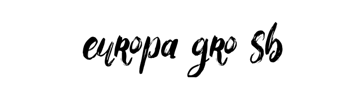 Bigarus  Free Fonts Download