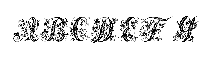 Victorian Initials One  Free Fonts Download
