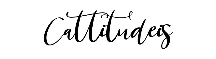 Bridesmaids Script  Free Fonts Download