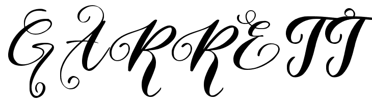 Bridgia  Free Fonts Download