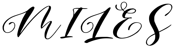 Bridgia  Free Fonts Download