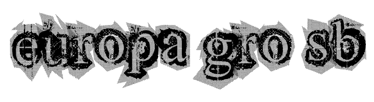 final lap  Free Fonts Download