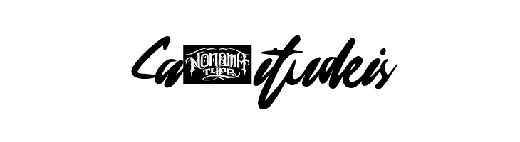 Blondering  Free Fonts Download