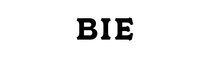 NS Champtone Serif  Free Fonts Download