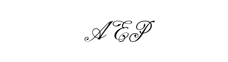 NS Champtone Script  Free Fonts Download