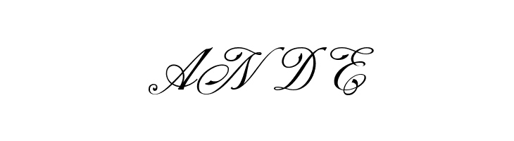 NS Champtone Script  Free Fonts Download