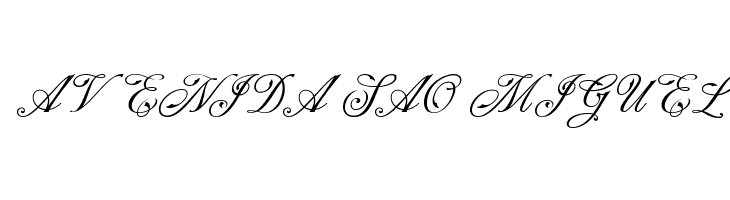 NS Champtone Script  Free Fonts Download