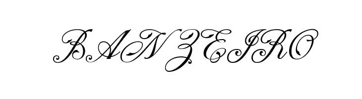 NS Champtone Script  Free Fonts Download