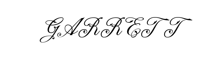 NS Champtone Script  Free Fonts Download