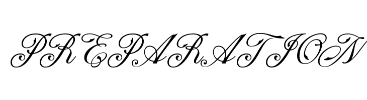 NS Champtone Script  Free Fonts Download