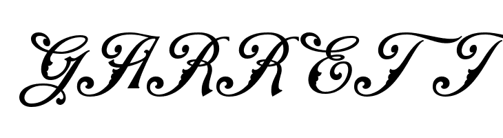 NS Mudolf Script  Free Fonts Download