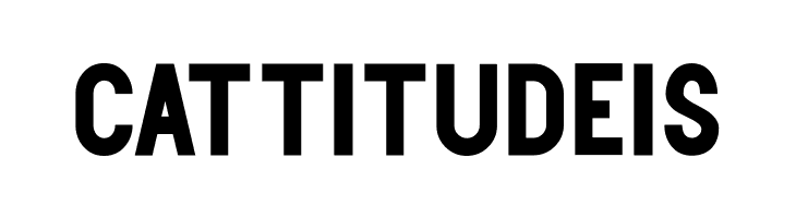 Centie Sans  Free Fonts Download