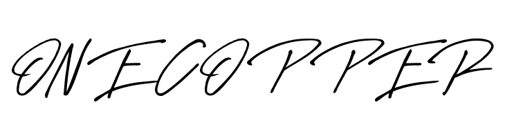 Rose Flinch Script  Free Fonts Download