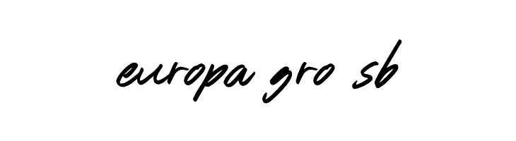 Rose Flinch Script  Free Fonts Download