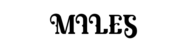 Banthern Personal Use  Free Fonts Download