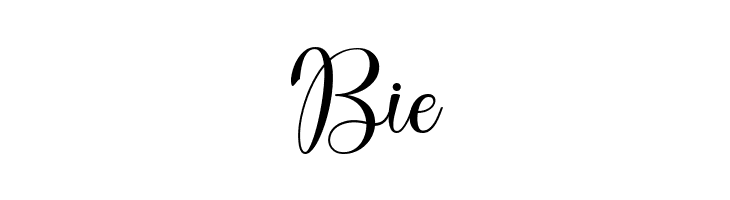 DonaDoniScript  Free Fonts Download