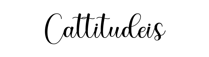 DonaDoniScript  Free Fonts Download