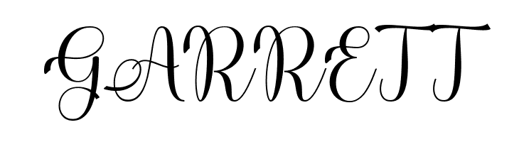 DonaDoniScript  Free Fonts Download