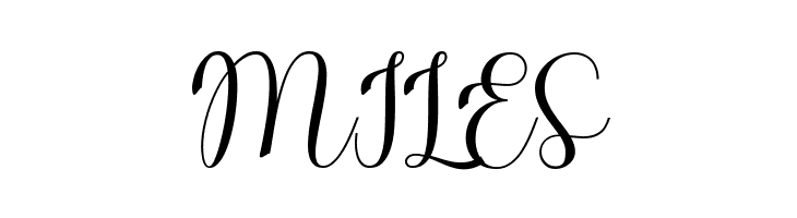 DonaDoniScript  Free Fonts Download