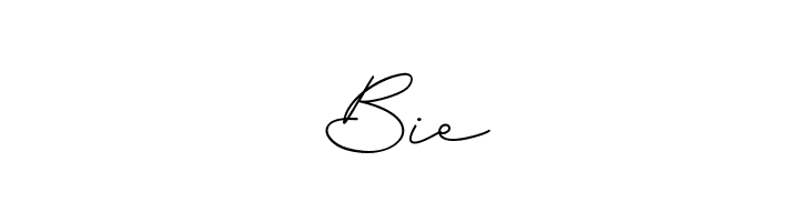 Budapest Girl  Free Fonts Download