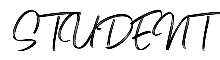 Bonitto  Free Fonts Download