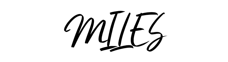 Beautifully DEMO  Free Fonts Download