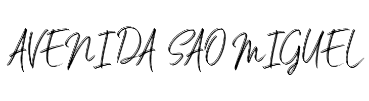 Salim DEMO  Free Fonts Download