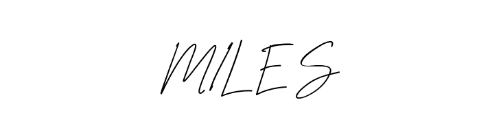 NEONCITY Script  Free Fonts Download