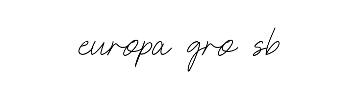 NEONCITY Script  Free Fonts Download