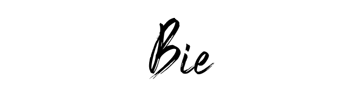 Black Vosten Personal Use  Free Fonts Download