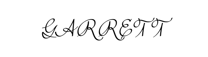 Rufus Script DEMO  Free Fonts Download