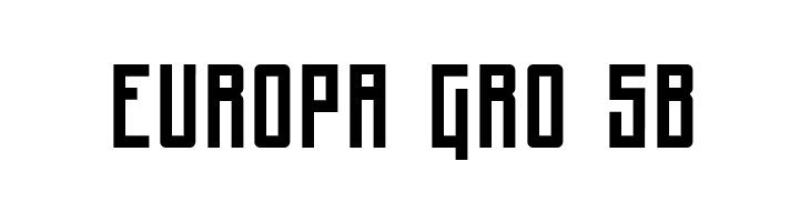 Steudel Mono Display Regular  Free Fonts Download