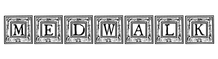 QuaNauticale_Initials_No1  Free Fonts Download