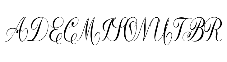 Constancia Script Bold  Free Fonts Download