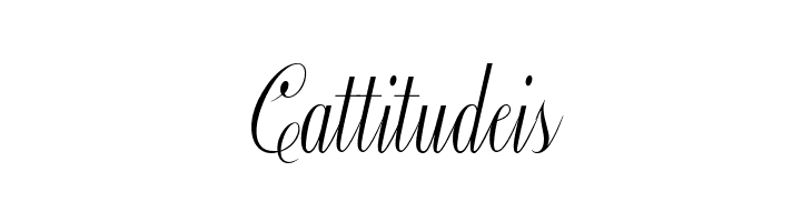 Constancia Script Bold  Free Fonts Download