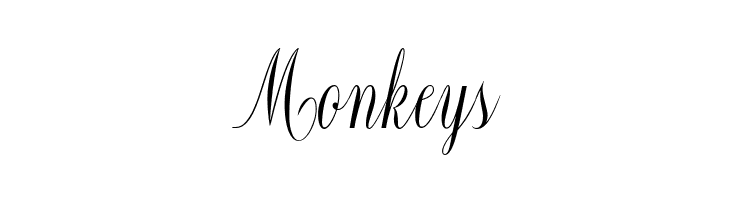 Constancia Script Bold  Free Fonts Download